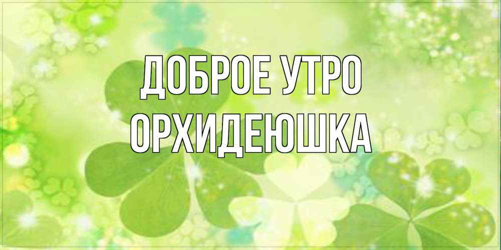 Открытка на каждый день с именем, Орхидеюшка Доброе утро открытка с листьями летними зелеными Прикольная открытка с пожеланием онлайн скачать бесплатно 
