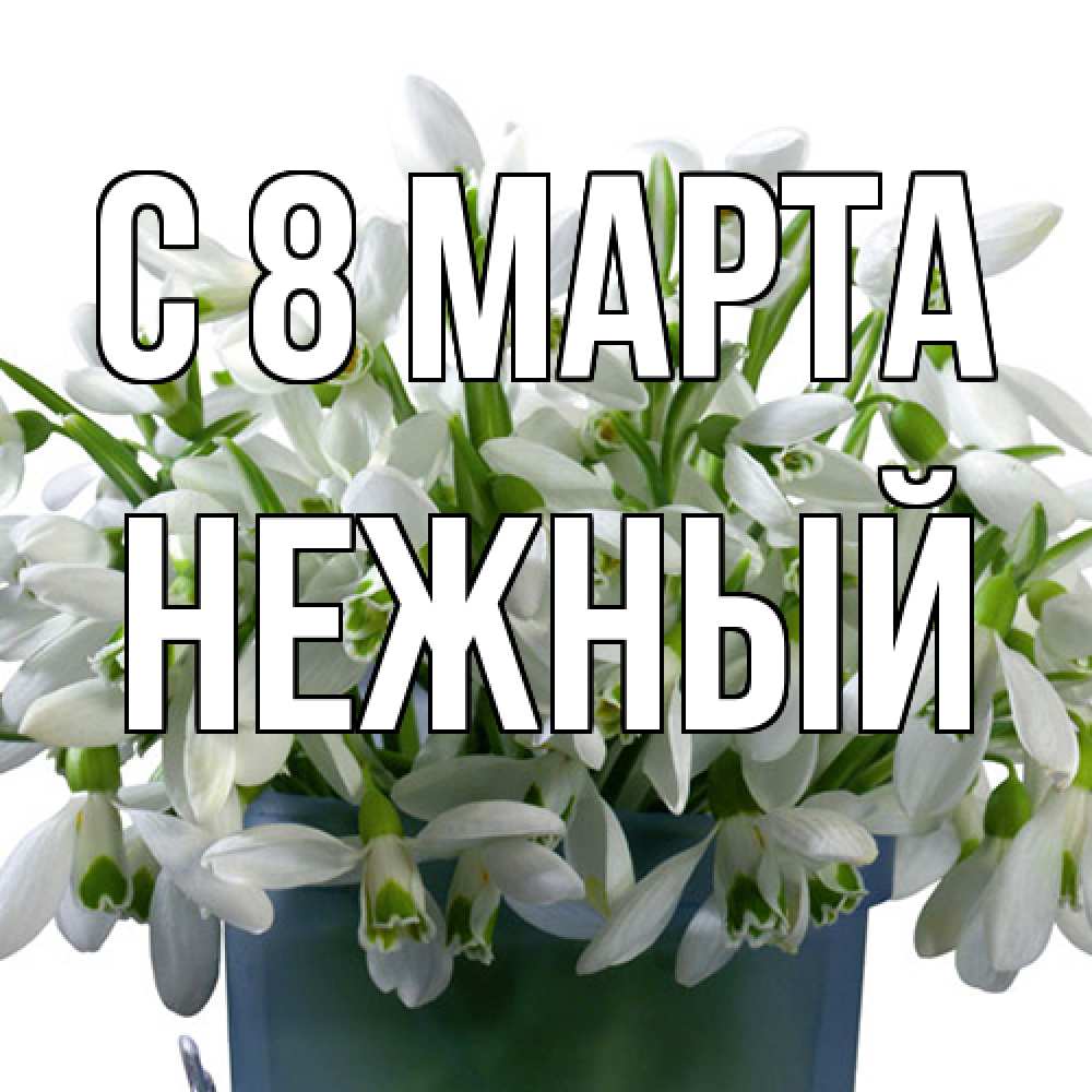 Открытка на каждый день с именем, Нежный C 8 МАРТА цветы к международному женскому дню Прикольная открытка с пожеланием онлайн скачать бесплатно 