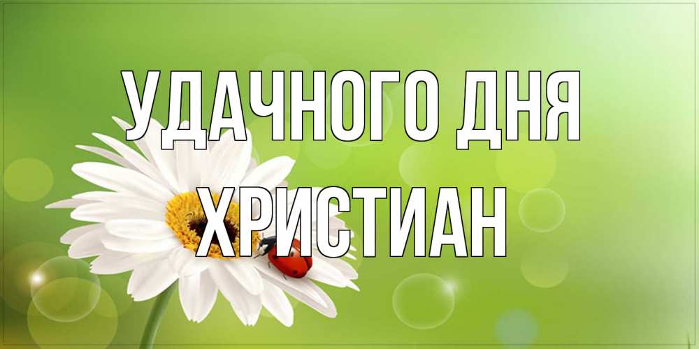 Открытка на каждый день с именем, Христиан Удачного дня зеленый фон и ромашка Прикольная открытка с пожеланием онлайн скачать бесплатно 
