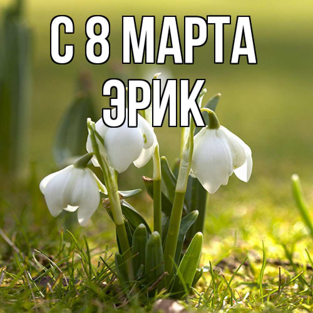Открытка на каждый день с именем, Эрик C 8 МАРТА ранние цветы 2 Прикольная открытка с пожеланием онлайн скачать бесплатно 