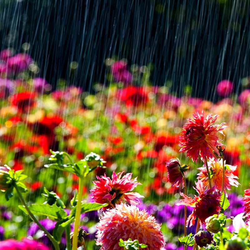Открытка с именем, Детка, C 8 МАРТА