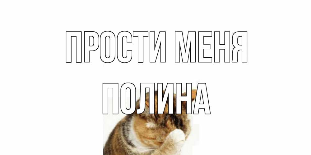 Открытка на каждый день с именем, Полина Прости меня кот Прикольная открытка с пожеланием онлайн скачать бесплатно 