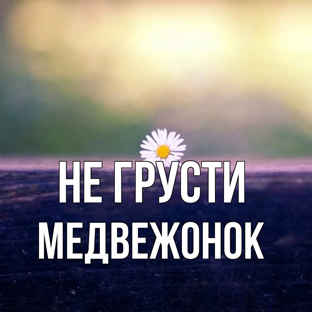 Открытка на каждый день с именем, медвежонок Не грусти красота Прикольная открытка с пожеланием онлайн скачать бесплатно 
