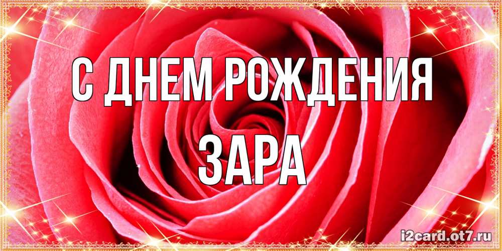 Открытка на каждый день с именем, Зара С днем рождения розовая роза очень крупный бутон Прикольная открытка с пожеланием онлайн скачать бесплатно 