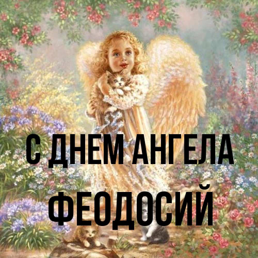 Открытка на каждый день с именем, Феодосий С днем ангела держит котенка Прикольная открытка с пожеланием онлайн скачать бесплатно 