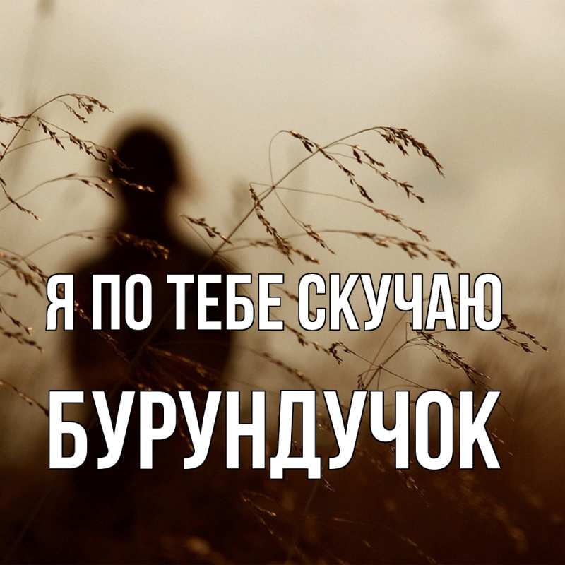 Картинка Я по тебе скучаю, бурундучок