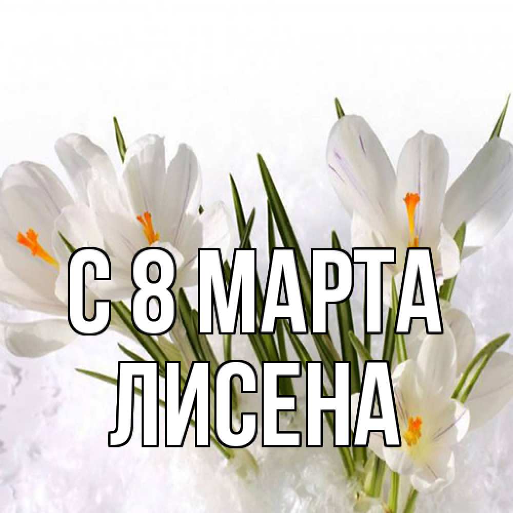 Открытка на каждый день с именем, Лисена C 8 МАРТА под снегом Прикольная открытка с пожеланием онлайн скачать бесплатно 