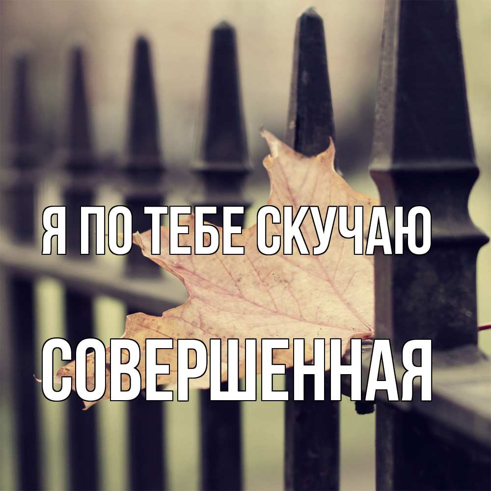 Открытка на каждый день с именем, Совершенная Я по тебе скучаю очень скучно Прикольная открытка с пожеланием онлайн скачать бесплатно 