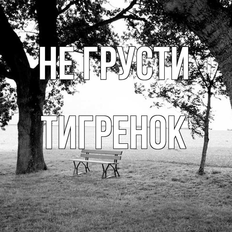 Картинка Не грусти, Тигpенок