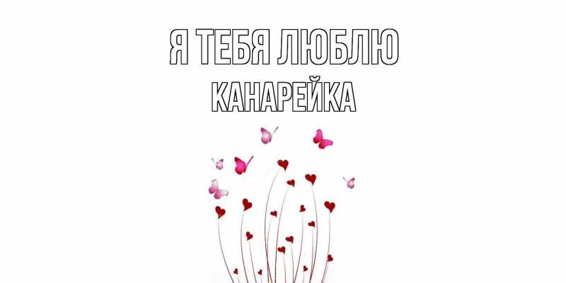 Картинка Я тебя люблю, Канарейка