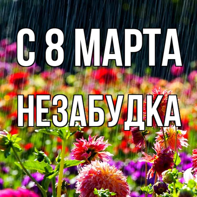 Картинка C 8 МАРТА, Незабудка