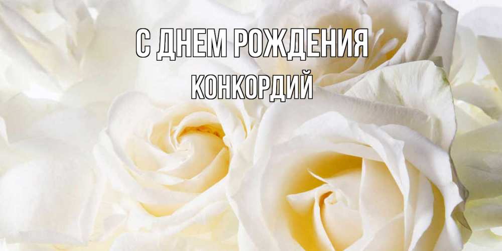 Открытка на каждый день с именем, Конкордий С днем рождения открыточки на день рождения любимым Прикольная открытка с пожеланием онлайн скачать бесплатно 