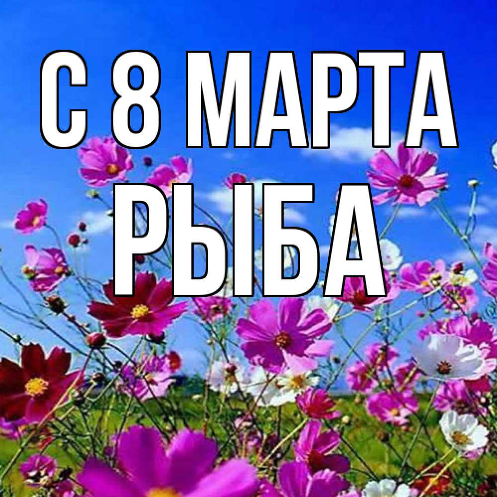 Открытка на каждый день с именем, Рыба C 8 МАРТА цветы Прикольная открытка с пожеланием онлайн скачать бесплатно 