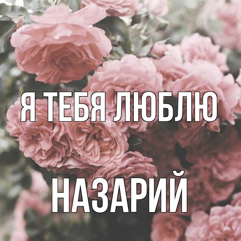 Картинка Я тебя люблю, Назарий