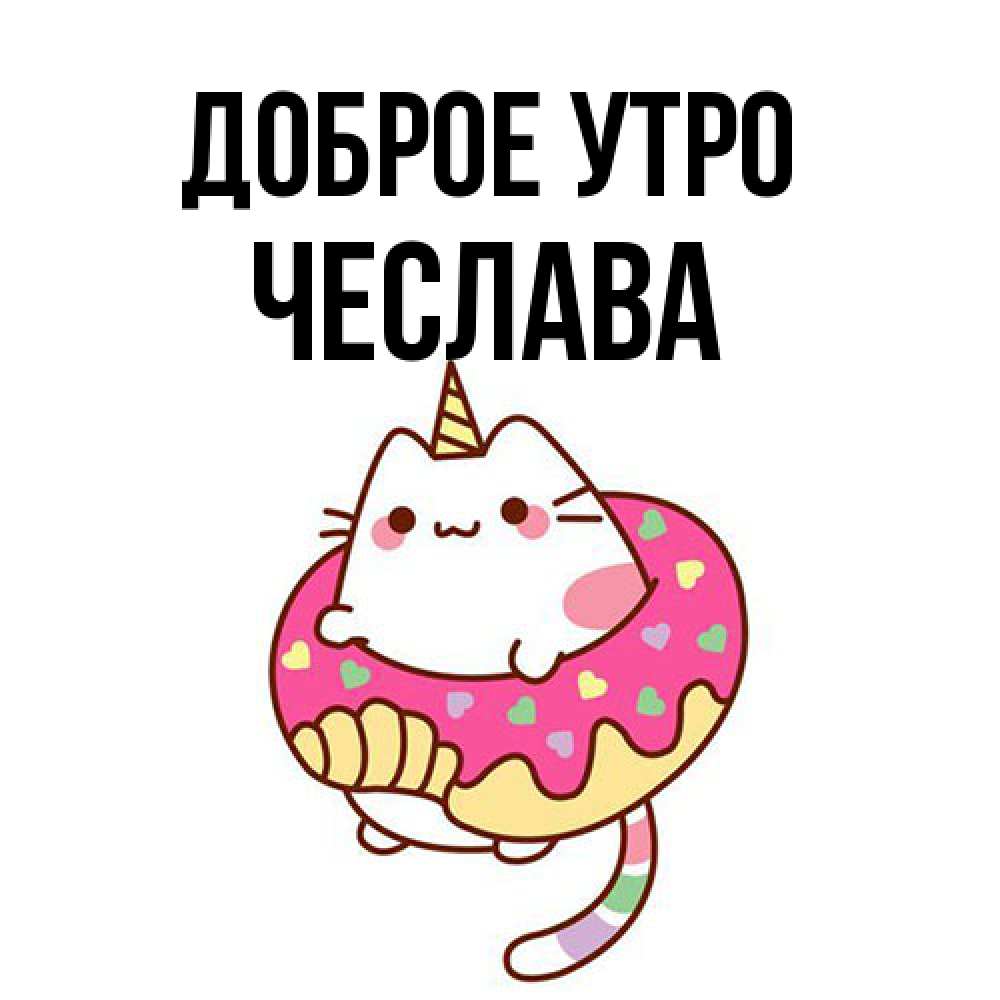 Открытка на каждый день с именем, Чеслава Доброе утро кот в бублике Прикольная открытка с пожеланием онлайн скачать бесплатно 