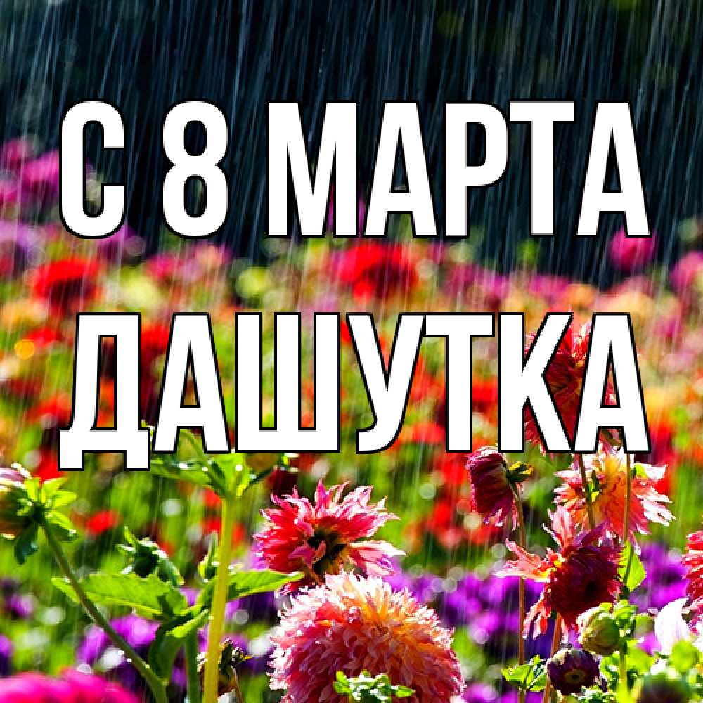 Открытка на каждый день с именем, Дашутка C 8 МАРТА цветы под дождиком к международному женскому дню Прикольная открытка с пожеланием онлайн скачать бесплатно 