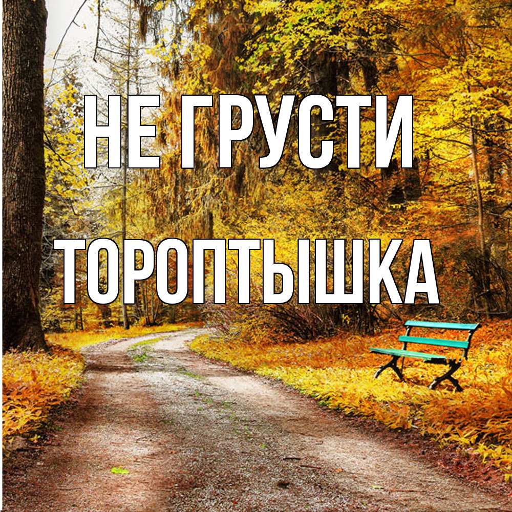 Открытка на каждый день с именем, Тороптышка Не грусти зеленая лавочка Прикольная открытка с пожеланием онлайн скачать бесплатно 
