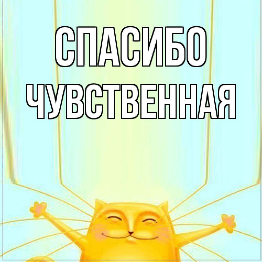 Открытка на каждый день с именем, Чувственная Спасибо кот с усами благодарит Прикольная открытка с пожеланием онлайн скачать бесплатно 