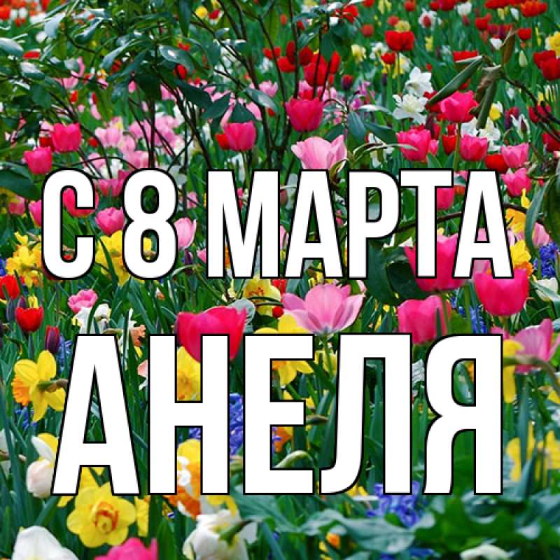 Картинка C 8 МАРТА, Анеля