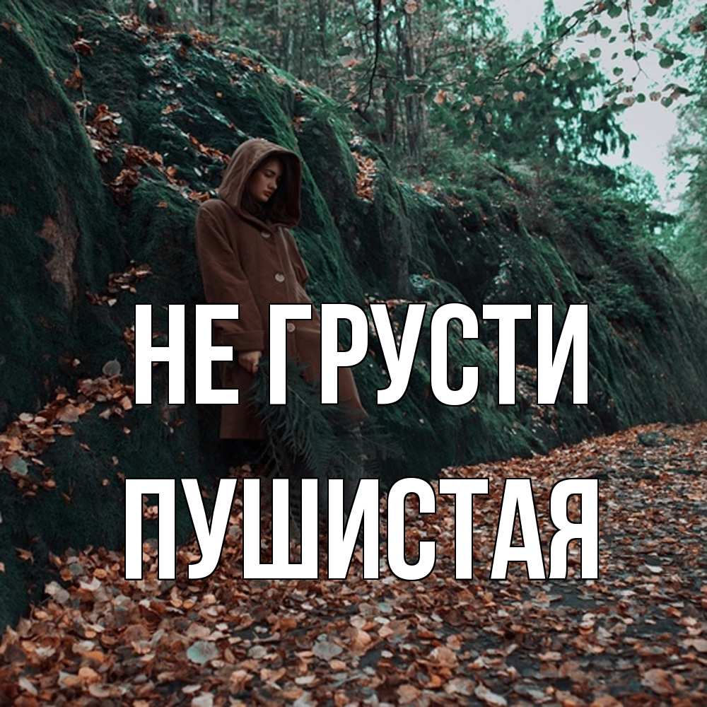 Открытка на каждый день с именем, Пушистая Не грусти осенний лес Прикольная открытка с пожеланием онлайн скачать бесплатно 