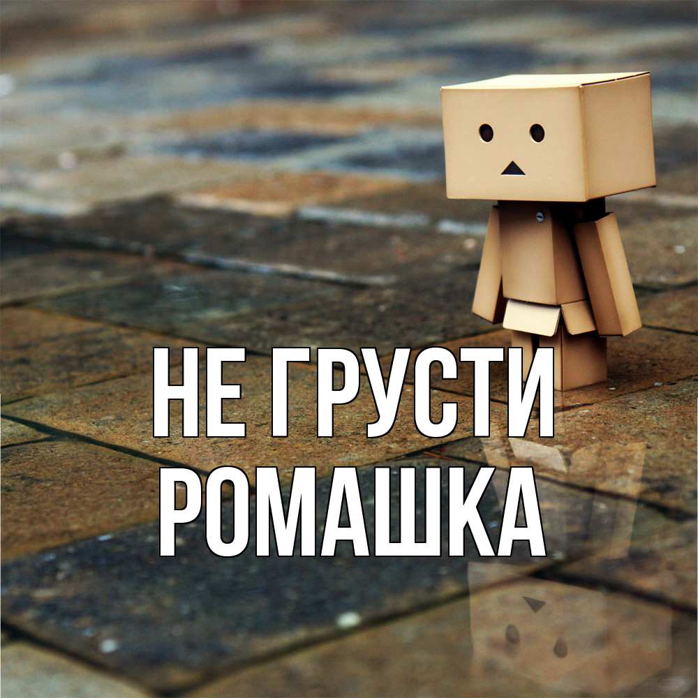 Открытка на каждый день с именем, Ромашка Не грусти Стив Прикольная открытка с пожеланием онлайн скачать бесплатно 