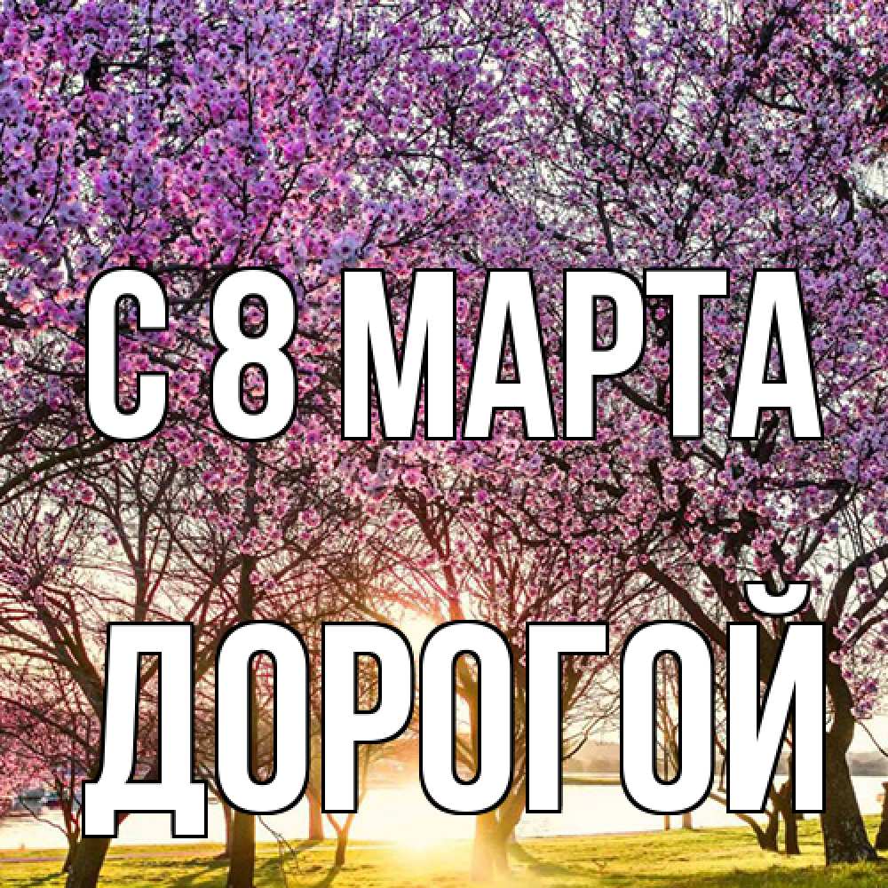 Открытка на каждый день с именем, Дорогой C 8 МАРТА международный женский день Прикольная открытка с пожеланием онлайн скачать бесплатно 