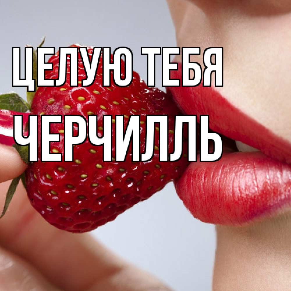 Открытка на каждый день с именем, Черчилль Целую тебя губки держат клубничку Прикольная открытка с пожеланием онлайн скачать бесплатно 
