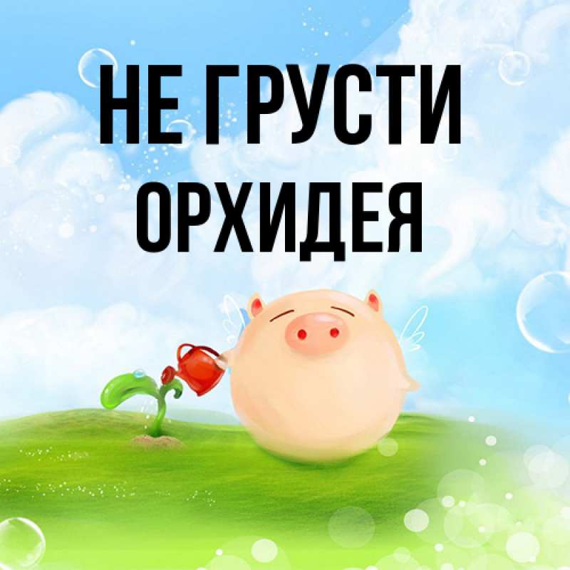 Открытка с именем, Орхидея, Не грусти