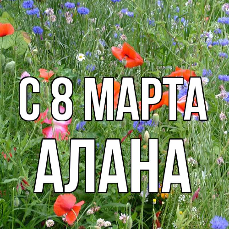 Картинка C 8 МАРТА, Алана