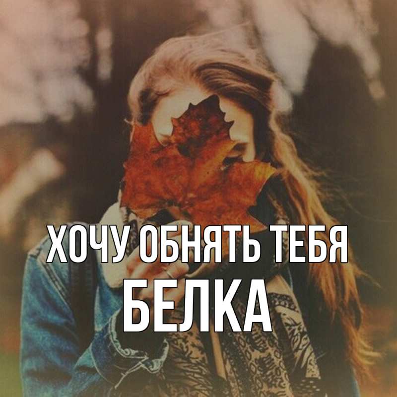 Картинка Хочу обнять тебя, Белка