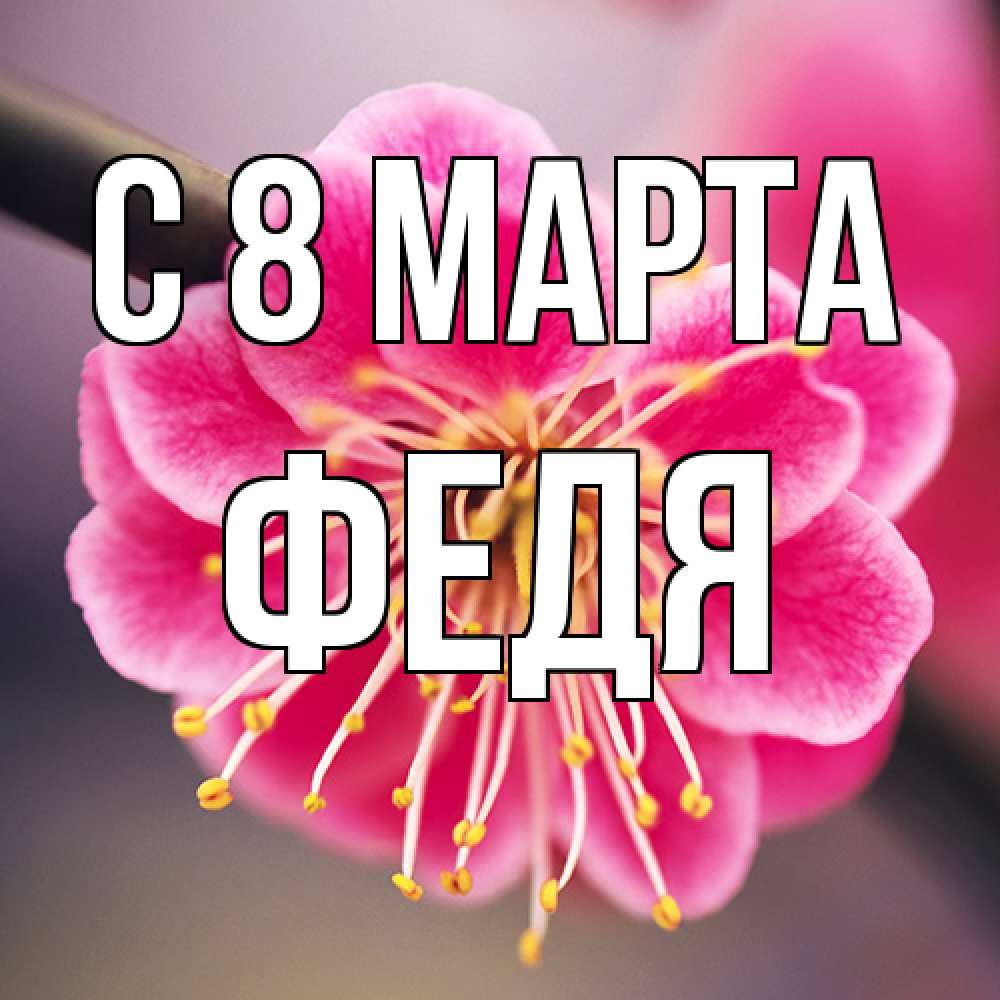 Открытка на каждый день с именем, Федя C 8 МАРТА цветы Прикольная открытка с пожеланием онлайн скачать бесплатно 