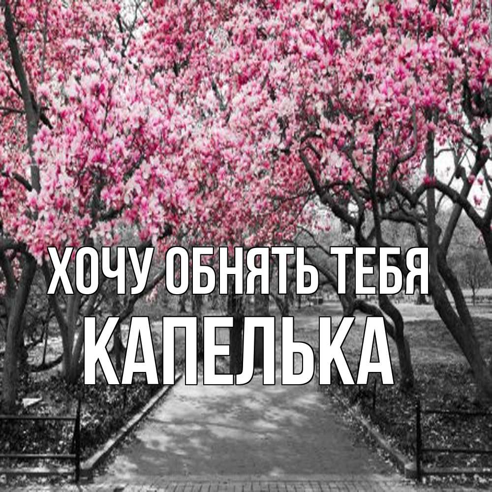 Открытка на каждый день с именем, Капелька Хочу обнять тебя обработанное фото Прикольная открытка с пожеланием онлайн скачать бесплатно 