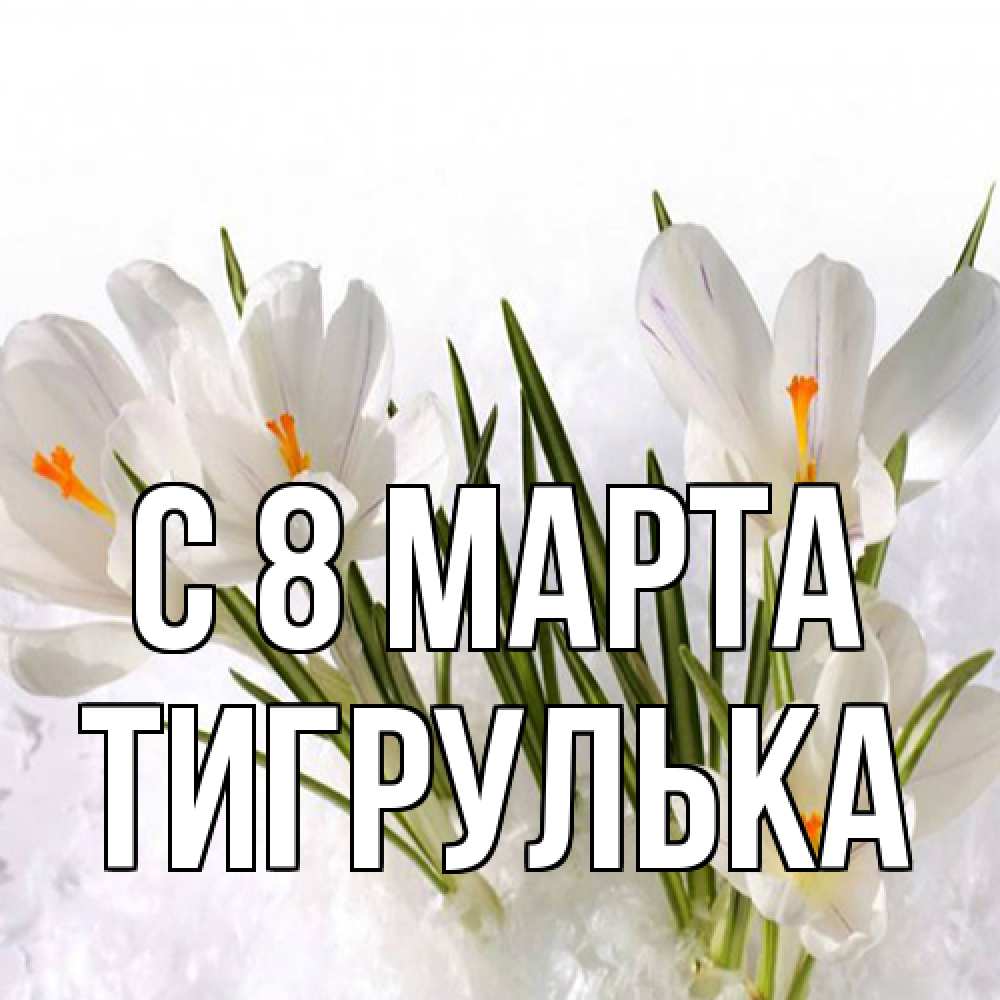 Открытка на каждый день с именем, тигрулька C 8 МАРТА под снегом Прикольная открытка с пожеланием онлайн скачать бесплатно 