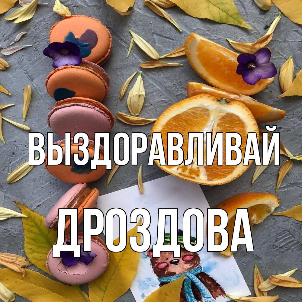 Открытка на каждый день с именем, Дроздова Выздоравливай не болейте Прикольная открытка с пожеланием онлайн скачать бесплатно 