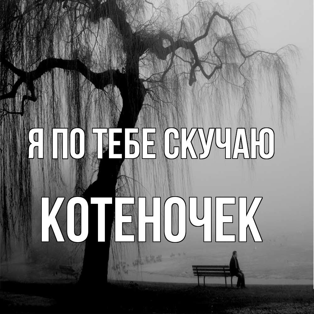 Открытка на каждый день с именем, Котеночек Я по тебе скучаю лавочка под деревом я жду тебя Прикольная открытка с пожеланием онлайн скачать бесплатно 