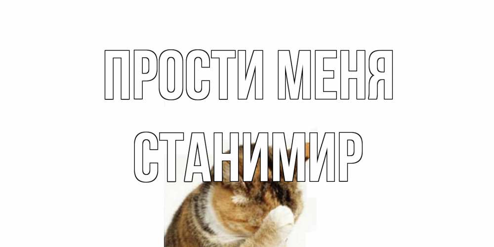 Открытка на каждый день с именем, Станимир Прости меня кот Прикольная открытка с пожеланием онлайн скачать бесплатно 