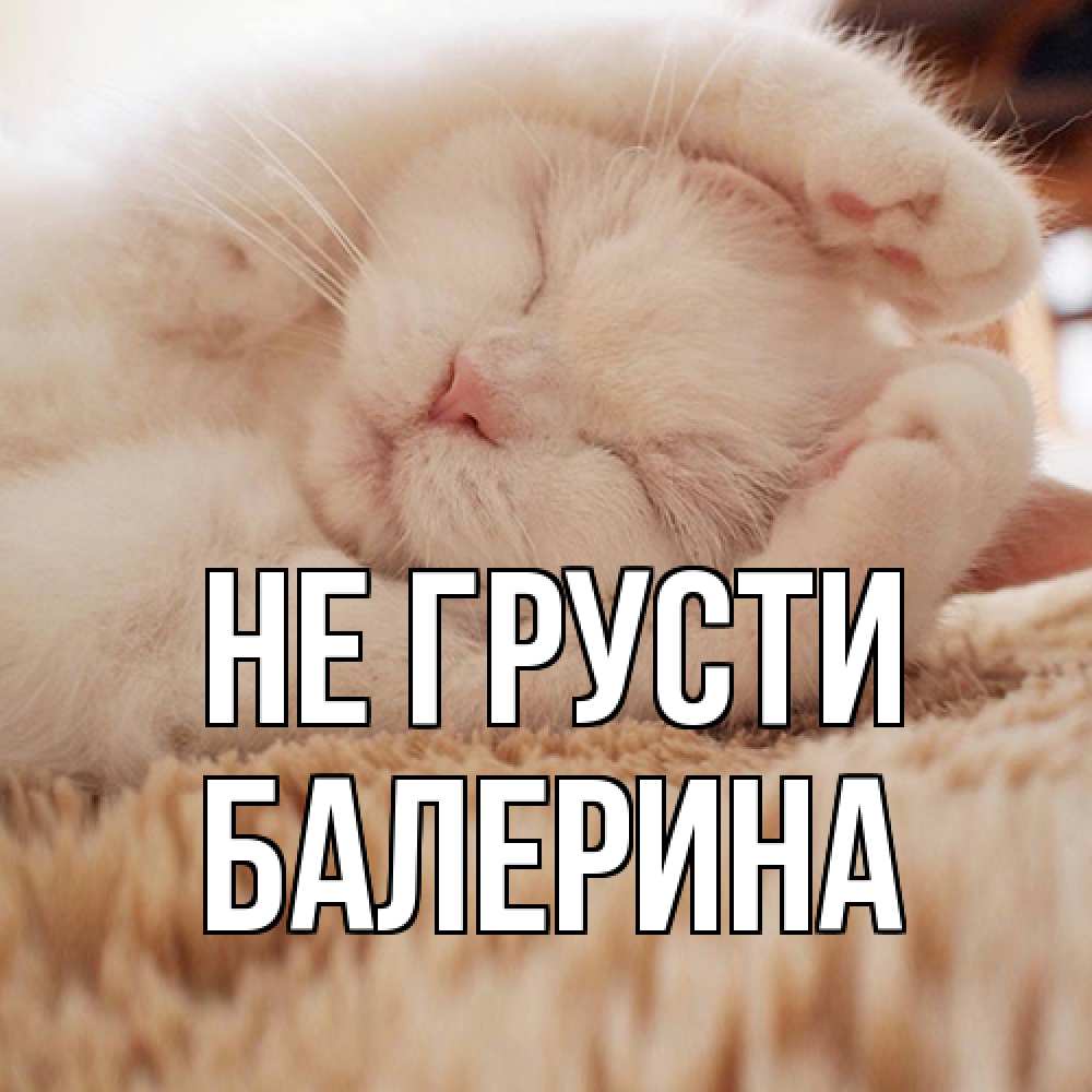 Открытка на каждый день с именем, Балерина Не грусти белый кот Прикольная открытка с пожеланием онлайн скачать бесплатно 