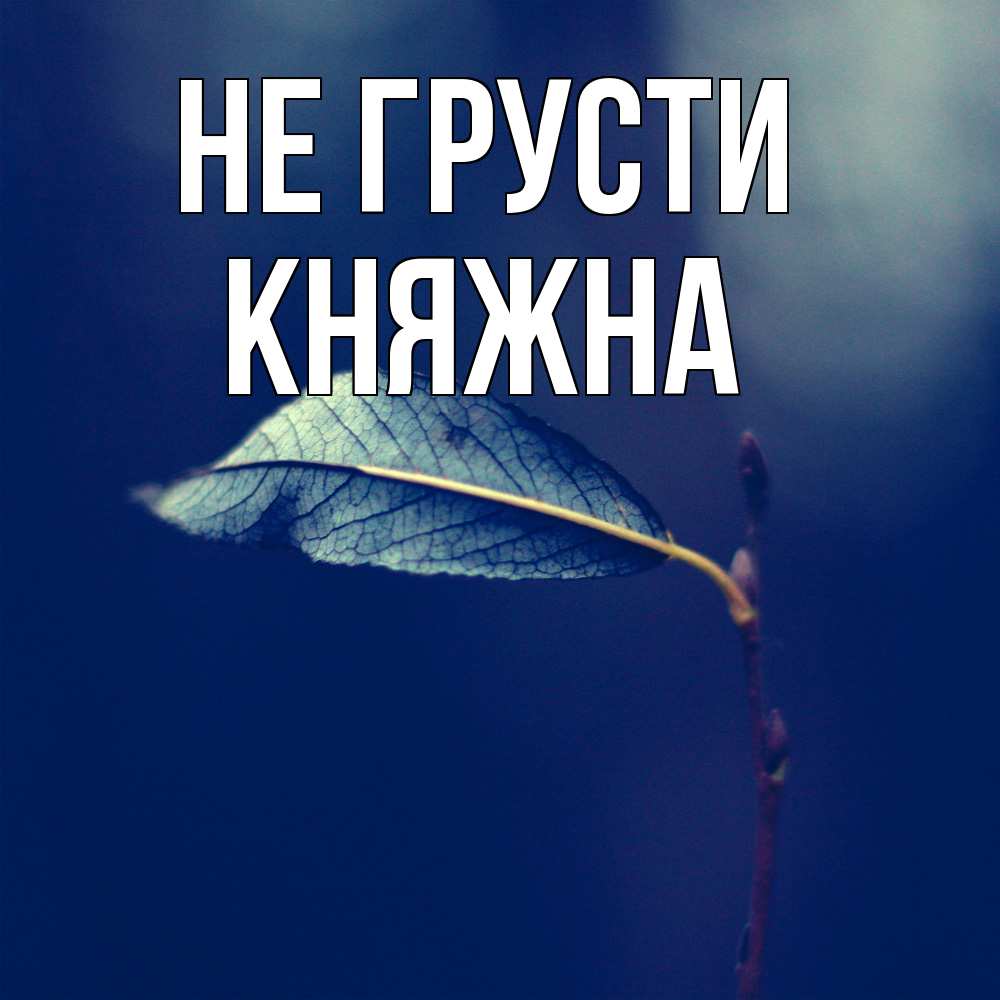 Открытка на каждый день с именем, Княжна Не грусти растение Прикольная открытка с пожеланием онлайн скачать бесплатно 