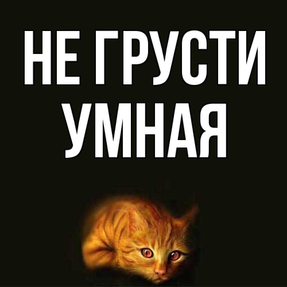 Открытка на каждый день с именем, Умная Не грусти лежащий кот в темноте Прикольная открытка с пожеланием онлайн скачать бесплатно 