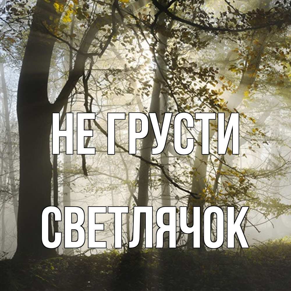 Открытка на каждый день с именем, Светлячок Не грусти лес и свет Прикольная открытка с пожеланием онлайн скачать бесплатно 