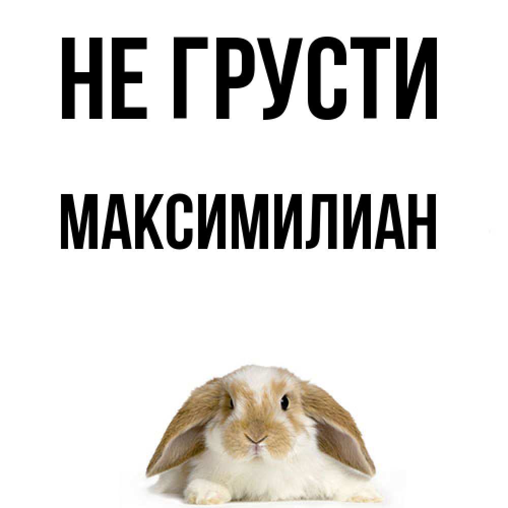 Открытка на каждый день с именем, Максимилиан Не грусти коричнево белый заяц с большими ушками Прикольная открытка с пожеланием онлайн скачать бесплатно 