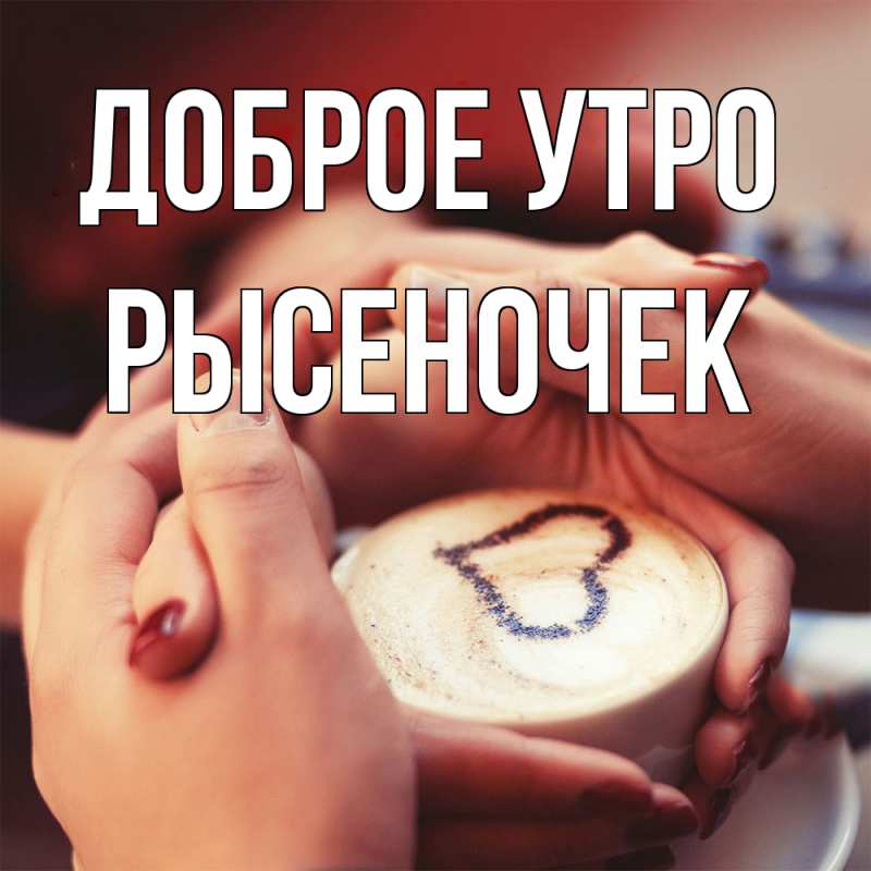 Картинка Доброе утро, Рысеночек