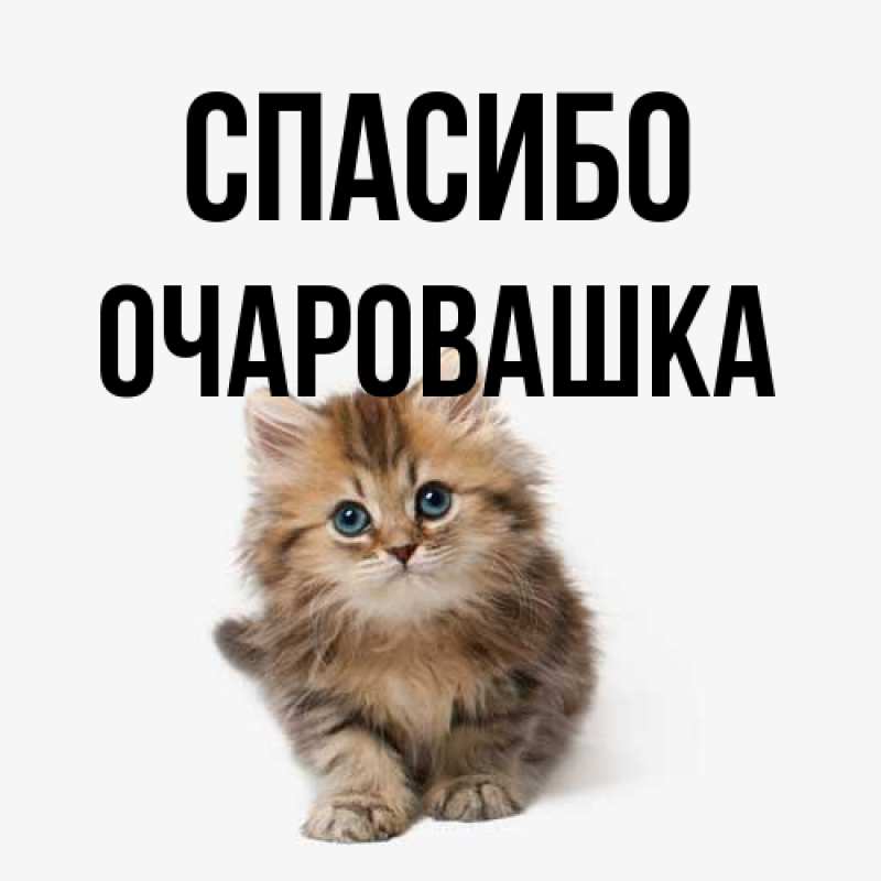 Картинка Спасибо, Очаpовашка