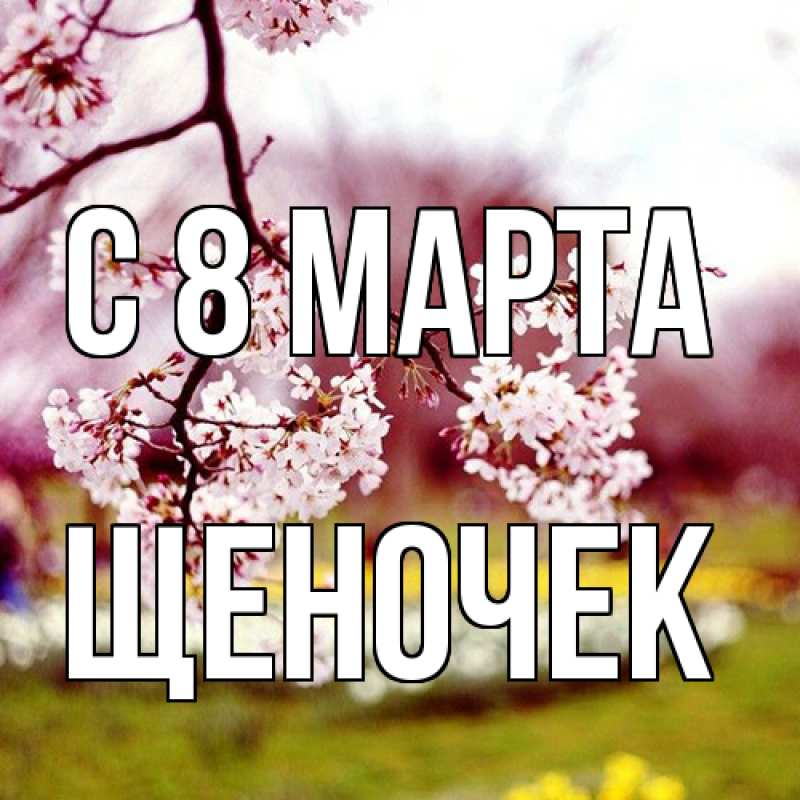 Картинка C 8 МАРТА, Щеночек