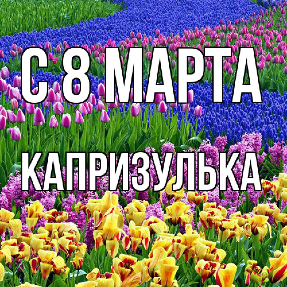 Открытка на каждый день с именем, капризулька C 8 МАРТА цветы Прикольная открытка с пожеланием онлайн скачать бесплатно 