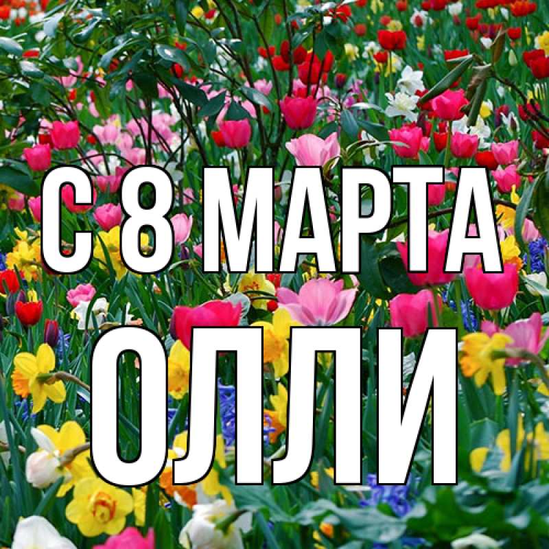 Картинка C 8 МАРТА, Олли