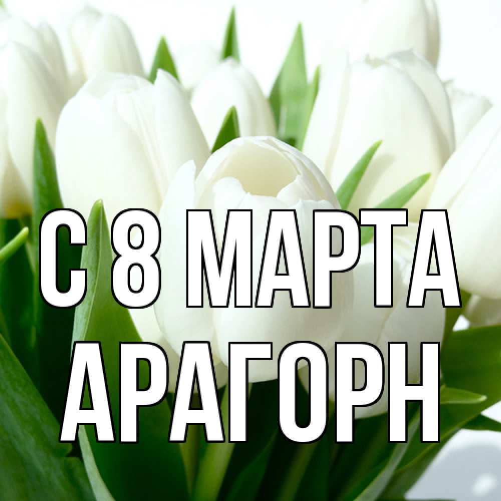 Открытка на каждый день с именем, Арагорн C 8 МАРТА цветы Прикольная открытка с пожеланием онлайн скачать бесплатно 