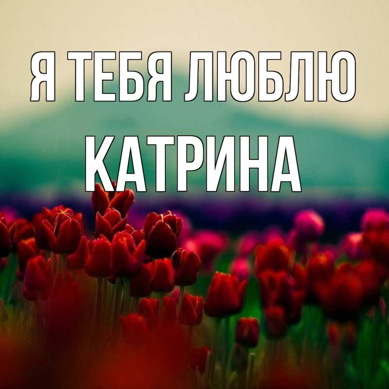 Картинка Я тебя люблю, Катрина