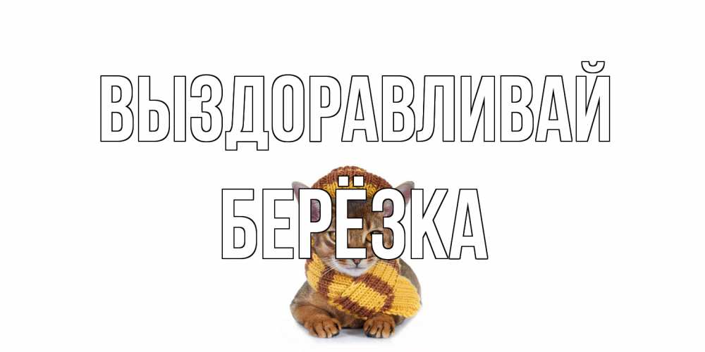 Открытка на каждый день с именем, Берёзка Выздоравливай родные не болейте Прикольная открытка с пожеланием онлайн скачать бесплатно 