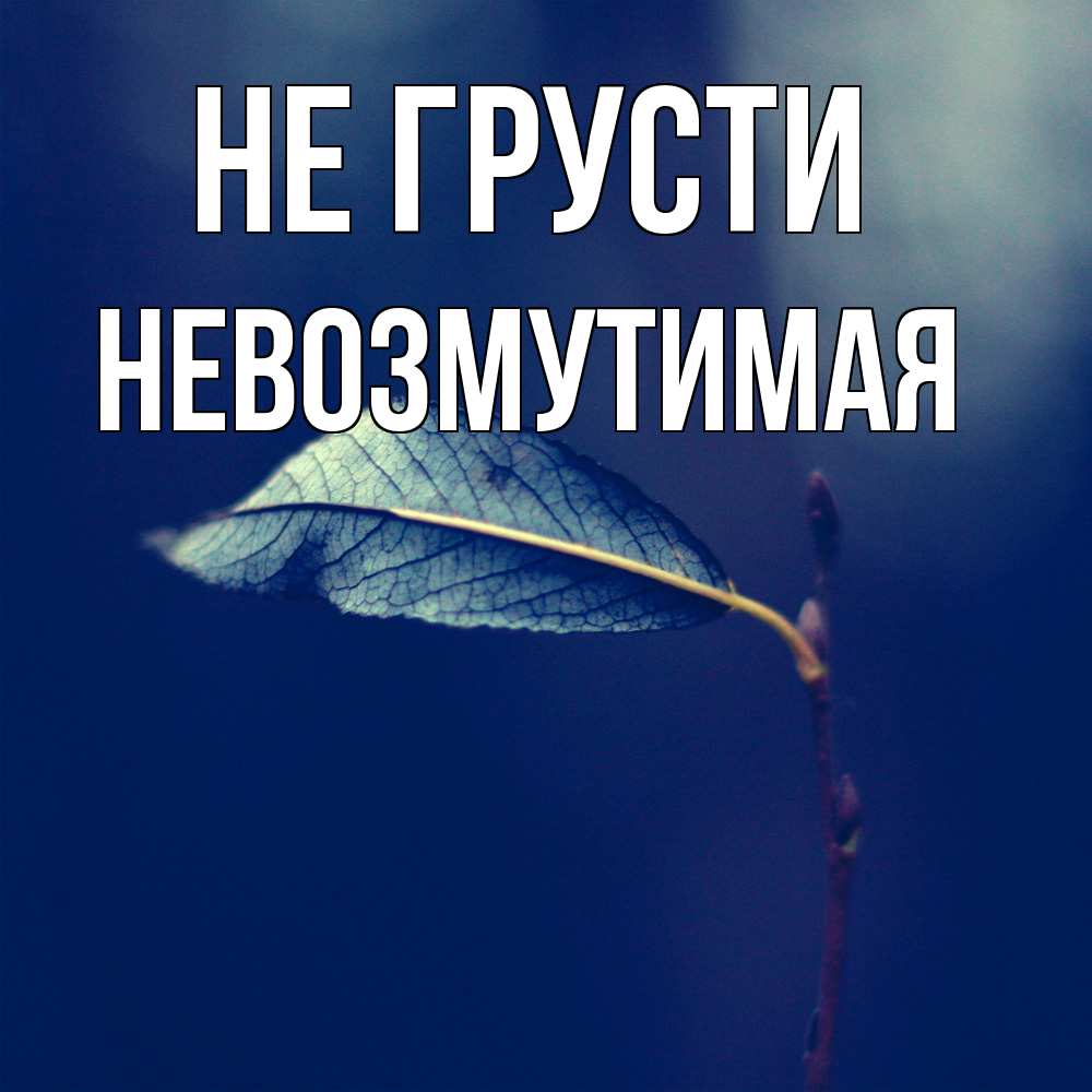 Открытка на каждый день с именем, Невозмутимая Не грусти растение Прикольная открытка с пожеланием онлайн скачать бесплатно 